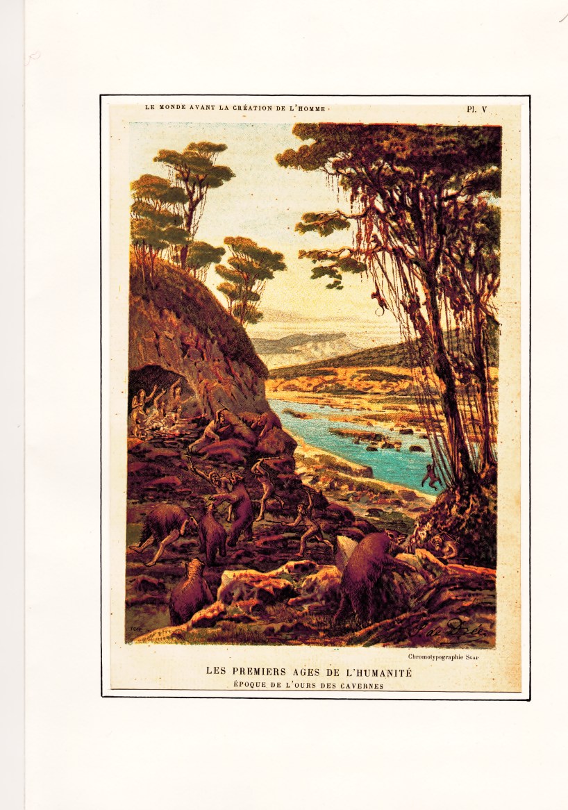 fransmän under attack23012015_0000 (2)